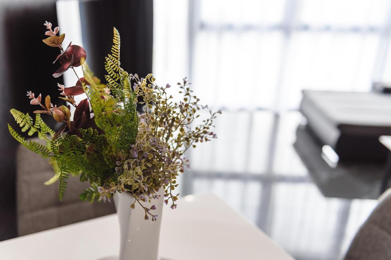 Concept Apartments Budiului 42 Târgu-Mureş Buitenkant foto